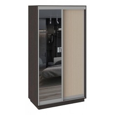 Шкаф-купе Румер СШК 1.120.60-11.13 Triya