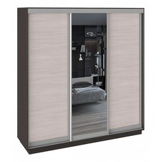 Шкаф-купе Румер СШК 1.210.70-11.13.11 Triya