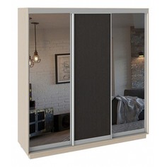 Шкаф-купе Румер СШК 1.210.70-13.11.13 Triya