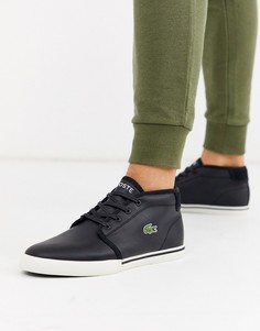 Черные ботинки чукка Lacoste amptill