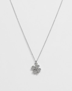 Ожерелье с подвеской Ted Baker Heyam