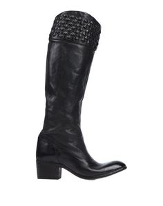 Сапоги Alberto Fasciani