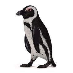 Игровой набор Collecta Южноафриканский пингвин (черный)