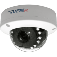 Категория: Камеры видеонаблюдения Trassir
