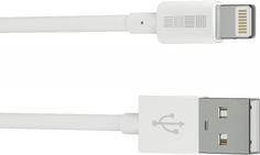 Кабель InterStep USB на Lightning 8 pin 1м (белый)