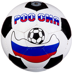 Спортивные товары SHENZHEN Мяч футбольный Россия размер 5 (черно-белый)