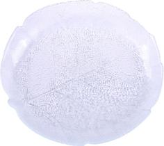 Тарелка OSZ десертная Форест, 19 см