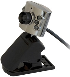 Веб камера Ritmix RVC-017M