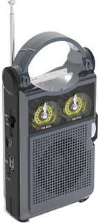 Радиоприемник Ritmix RPR-333 (карбон)