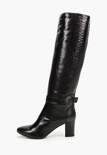 Сапоги Enzo Logana 