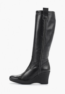 Сапоги Enzo Logana 