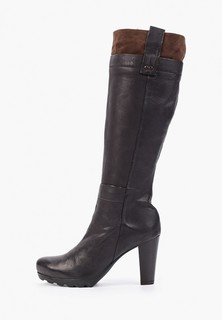 Сапоги Enzo Logana 