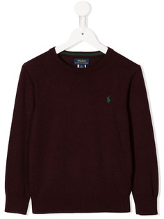 Ralph Lauren Kids джемпер с вышитым логотипом
