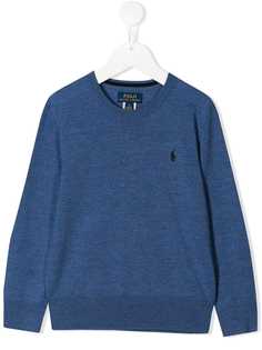 Ralph Lauren Kids джемпер с вышитым логотипом