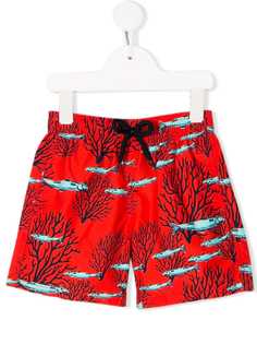 Vilebrequin Kids плавки-шорты с принтом Coral Fish