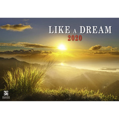 Календарь настенный Like a Dream на 2020 год Экслибрис