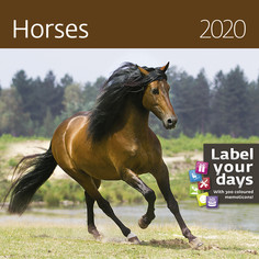 Календарь-органайзер Horses на 2020 год Экслибрис