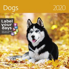 Календарь-органайзер Dogs на 2020 год Экслибрис