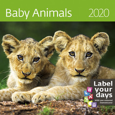 Календарь-органайзер Baby Animals на 2020 год Экслибрис