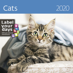 Календарь-органайзер Cats на 2020 год Экслибрис