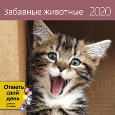 Календарь-органайзер Забавные животные на 2020 год Экслибрис