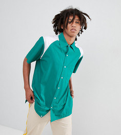 Рубашка Sacred Hawk-Зеленый