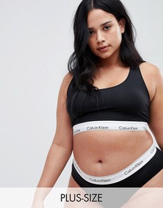 Черный бралетт Calvin Klein Plus Size