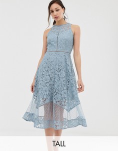 Кружевное приталенное платье миди для выпускного Little Mistress Tall-Синий