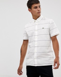Белая оксфордская рубашка в полоску с короткими рукавами Lacoste-Белый