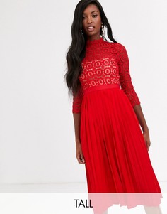 Красное кружевное платье миди с рукавами длиной 3/4 Little Mistress Tall-Красный