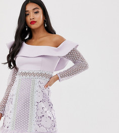 Сиреневое платье мини на одно плечо с пышным рукавом и контрастными кружевными вставками True Decadence Petite-Фиолетовый цвет