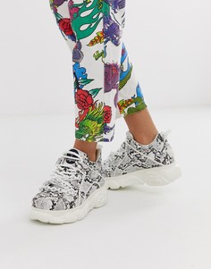 Массивные кроссовки со змеиным принтом Buffalo x Jaded London-Мульти