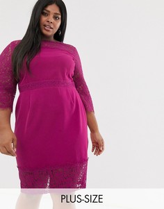 Малиновое платье-футляр с длинными кружевными рукавами Paper Dolls Plus-Розовый