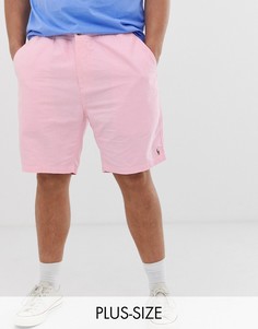 Розовые шорты-чиносы с логотипом Polo Ralph Lauren Big & Tall - Prepster-Розовый