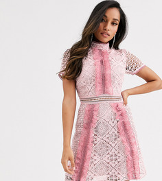 Розовое кружевное платье мини с контрастными оборками True Decadence Petite-Розовый