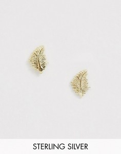 Серебряные позолоченные серьги-гвоздики Kingsley Ryan-Золотой
