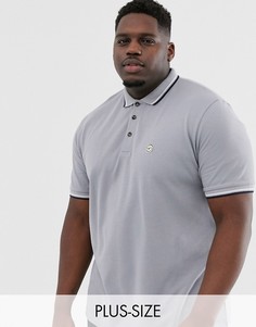 Узкая футболка-поло с контрастной отделкой Le Breve Plus-Серый