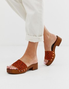 Оранжевые замшевые мюли на каблуке с леопардовым принтом ASOS DESIGN Transit-Мульти