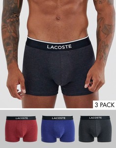 Набор из 3 эластичных хлопковых боксеров-брифов Lacoste Colours-Мульти