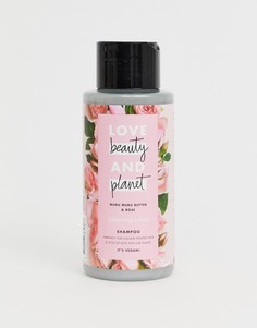 Шампунь с розой и маслом мурумуру Love Beauty and Planet - Blooming Colour, 400 мл-Бесцветный