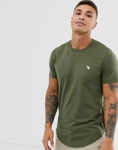 Футболка оливкового цвета с закругленным краем и логотипом Abercrombie & Fitch-Зеленый