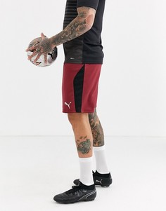 Бордовые шорты с черными полосками по бокам Puma Football эксклюзивно для ASOS-Красный
