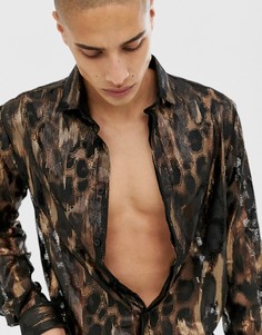 Супероблегающая рубашка из прозрачного кружева с леопардовым принтом Twisted Tailor-Черный