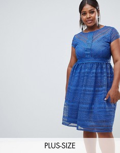 Кружевное приталенное платье миди с короткими рукавами Little Mistress Plus-Синий