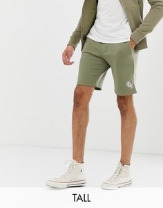 Трикотажные шорты с логотипом French Connection Tall-Зеленый