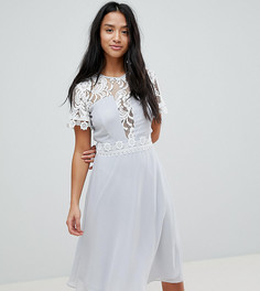 Платье миди со вставками и кружевной отделкой Elise Ryan Petite-Серый