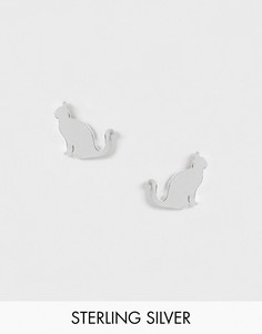 Серебристые серьги-гвоздики с котами Kingsley Ryan-Серебряный