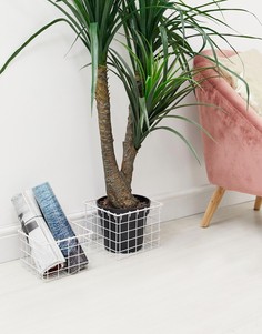 Набор из 2 контейнеров для хранения Candlelight-Белый