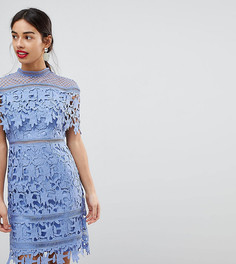 Кружевное платье-футляр миди с высоким воротником Chi Chi London Petite-Синий
