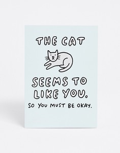 Открытка с надписью \"cat seems to like you\" Veronica Dearly-Мульти